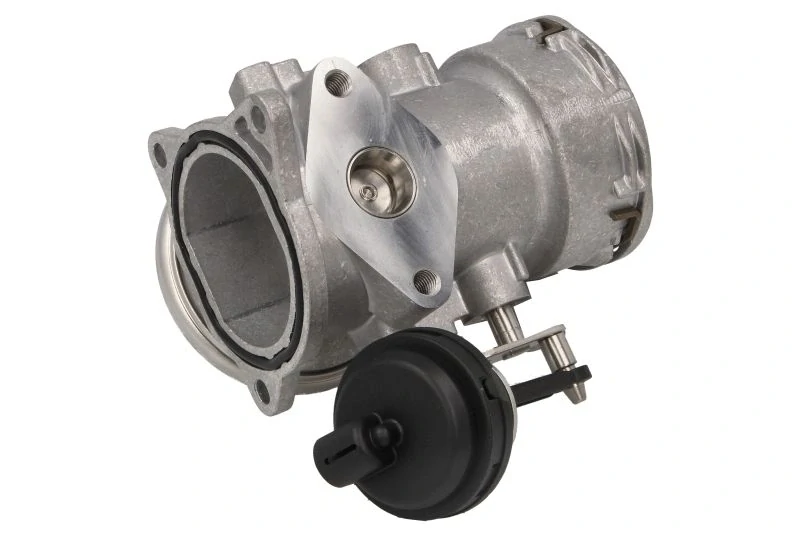 EGR ventil 038131501AL (7.24809.20.0, 038131501AA, 038131501J) Audi, Ford, Škoda