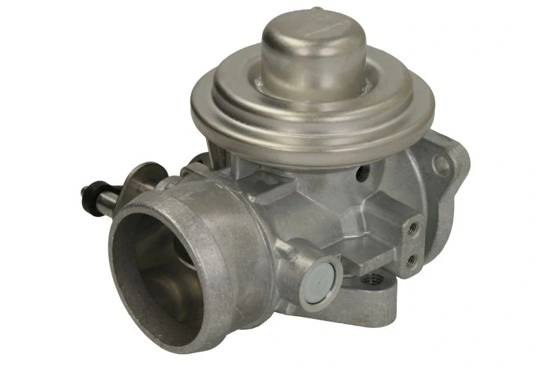 EGR ventil WAHLER 7283D (038131501AR, 038131501M,7.24809.30.0) Seat, Škoda, VW