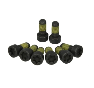 Sada sroubů, setrvacnik LUK 411 0199 10 ( 411019910 ) BMW