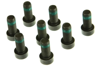 Sada sroubů, setrvacnik LUK 411 0133 11 (411013311) Audi, Seat, Škoda, VW