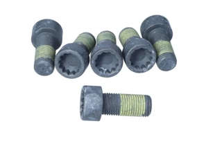 4110133100 Sada šroubů, setrvačník LUK 411 0133 00 Audi, Seat, Škoda, VW 