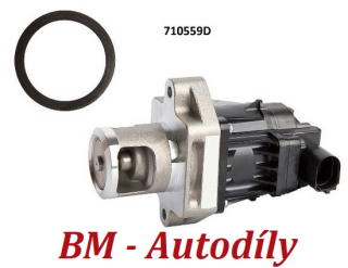 AGR-Ventil WAHLER 710559D