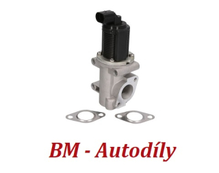 AGR - Ventil Fiat ( 55215030, 7.22946.33.0, 46778209, 55182483, 55204236 )