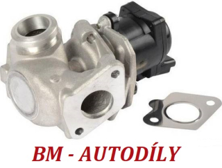 EGR venti DELPHI EG10401-12B1 (1682737, 700444, 1526689, 1476057, 1439414) FORD, MAZDA