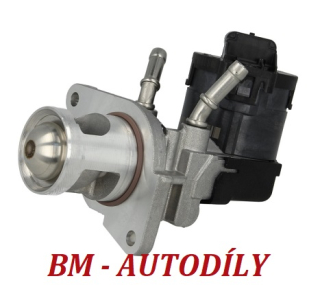 EGR ventil BORGWARNER-WAHLER 710327D/1 BMW (11717805447, 1171781087, 117198867141)